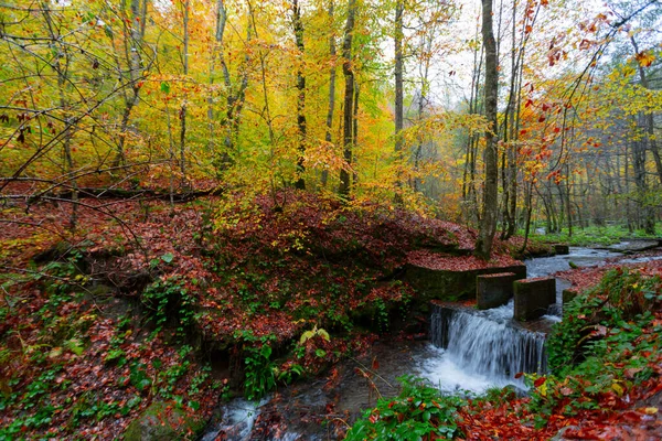 Yedigller National Park Encuentra Región Del Mar Negro Norte Bolu — Foto de Stock