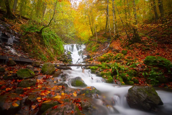 Yedigller National Park Located Black Sea Region North Bolu South — Stock Photo, Image