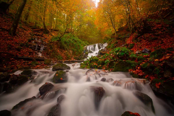 Yedigller National Park Encuentra Región Del Mar Negro Norte Bolu — Foto de Stock