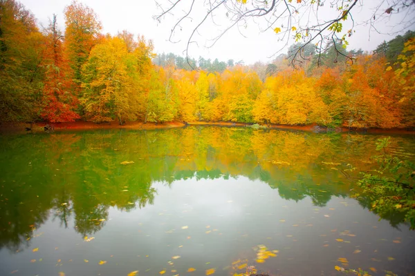 Yedigller Nemzeti Park Fekete Tenger Térségében Található Bolu Északi Részén — Stock Fotó