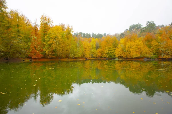 Yedigller Nemzeti Park Fekete Tenger Térségében Található Bolu Északi Részén — Stock Fotó