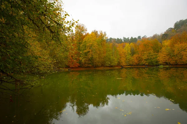 Yedigller National Park Está Localizado Região Mar Negro Norte Bolu — Fotografia de Stock