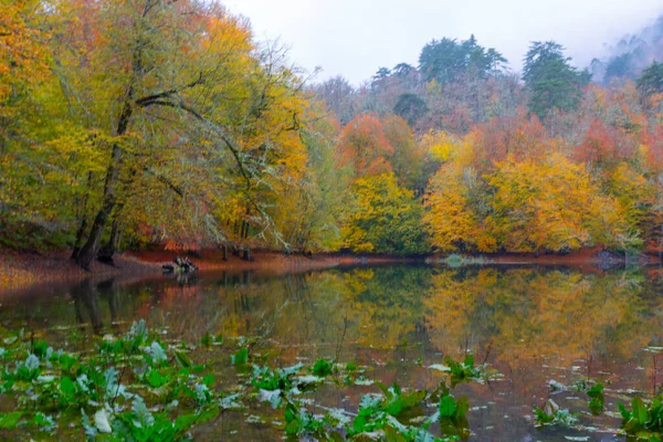 Der Yedigller Nationalpark Liegt Der Schwarzmeerregion Norden Von Bolu Süden — Stockfoto