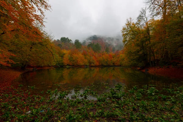 Parc National Yedigller Est Situé Dans Région Mer Noire Nord — Photo