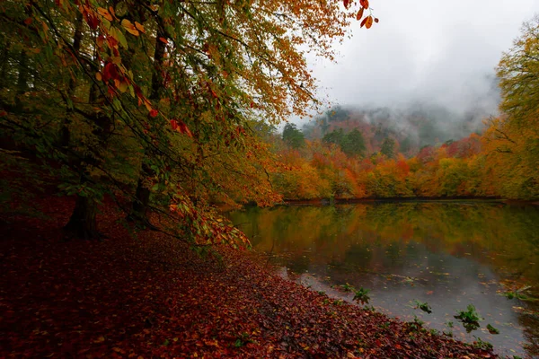 Yedigller National Park Ligger Sortehavsregionen Den Nordlige Del Bolu Den - Stock-foto