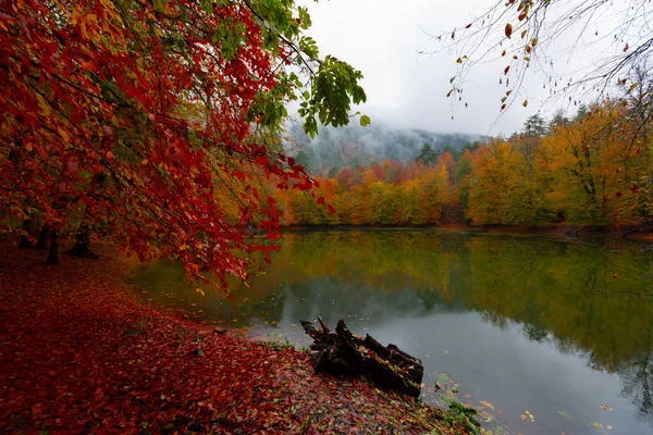 Yedigller National Park Está Localizado Região Mar Negro Norte Bolu — Fotografia de Stock