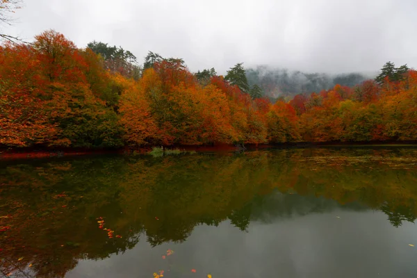 Yedigller National Park Está Localizado Região Mar Negro Norte Bolu — Fotografia de Stock