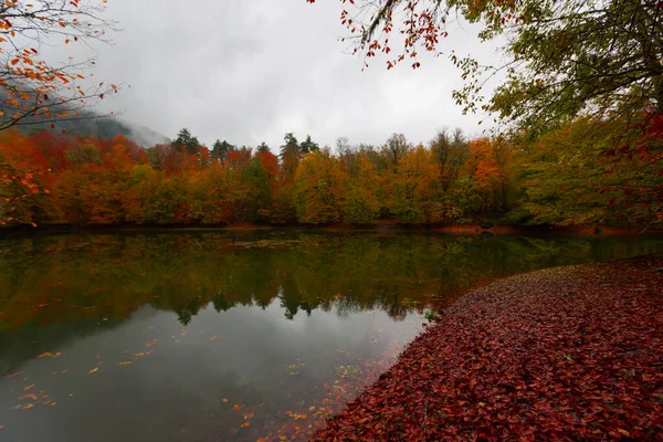 Yedigller National Park Ligger Svartahavsregionen Norra Bolu Södra Zonguldak Södra — Stockfoto