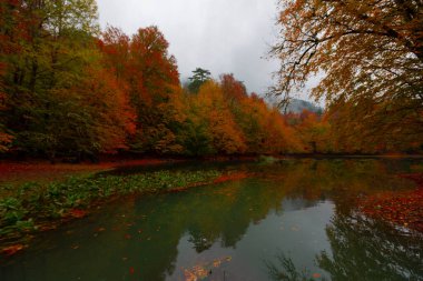 Yedigller Milli Parkı Bolu 'nun kuzeyinde, Zonguldak' ın güneyinde, Dzce 'nin güneyinde, Dzce' nin doğusunda yer almaktadır..