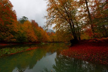 Yedigller Milli Parkı Bolu 'nun kuzeyinde, Zonguldak' ın güneyinde, Dzce 'nin güneyinde, Dzce' nin doğusunda yer almaktadır..