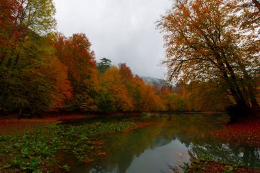 Yedigller Milli Parkı Bolu 'nun kuzeyinde, Zonguldak' ın güneyinde, Dzce 'nin güneyinde, Dzce' nin doğusunda yer almaktadır..