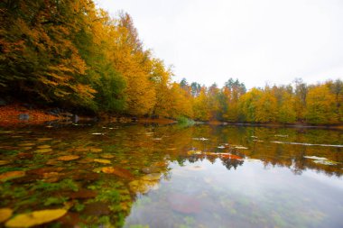 Yedigller Milli Parkı Bolu 'nun kuzeyinde, Zonguldak' ın güneyinde, Dzce 'nin güneyinde, Dzce' nin doğusunda yer almaktadır..