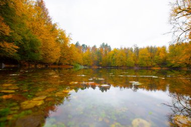 Yedigller Milli Parkı Bolu 'nun kuzeyinde, Zonguldak' ın güneyinde, Dzce 'nin güneyinde, Dzce' nin doğusunda yer almaktadır..