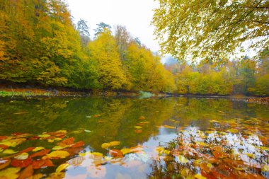 Yedigller Milli Parkı Bolu 'nun kuzeyinde, Zonguldak' ın güneyinde, Dzce 'nin güneyinde, Dzce' nin doğusunda yer almaktadır..