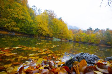 Yedigller Milli Parkı Bolu 'nun kuzeyinde, Zonguldak' ın güneyinde, Dzce 'nin güneyinde, Dzce' nin doğusunda yer almaktadır..