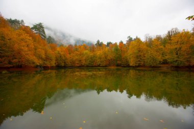 Yedigller Milli Parkı Bolu 'nun kuzeyinde, Zonguldak' ın güneyinde, Dzce 'nin güneyinde, Dzce' nin doğusunda yer almaktadır..