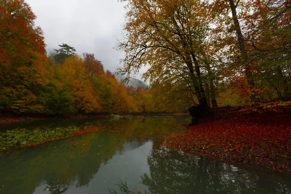 Národní Park Yedigller Nachází Oblasti Černého Moře Severu Bolu Jihu — Stock fotografie