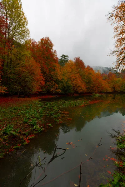 Yedigller National Park Ligger Svartahavsregionen Norra Bolu Södra Zonguldak Södra — Stockfoto