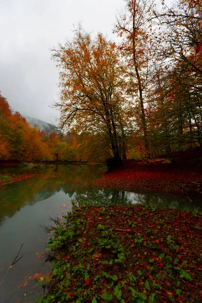 Yedigller National Park Ligger Svartahavsregionen Norra Bolu Södra Zonguldak Södra — Stockfoto