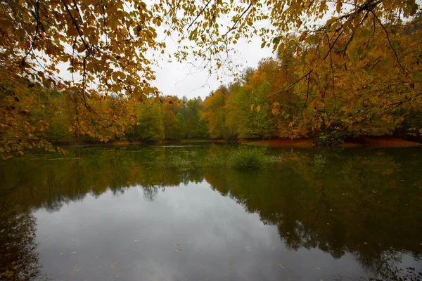 Yedigller Nemzeti Park Fekete Tenger Térségében Található Bolu Északi Részén — Stock Fotó