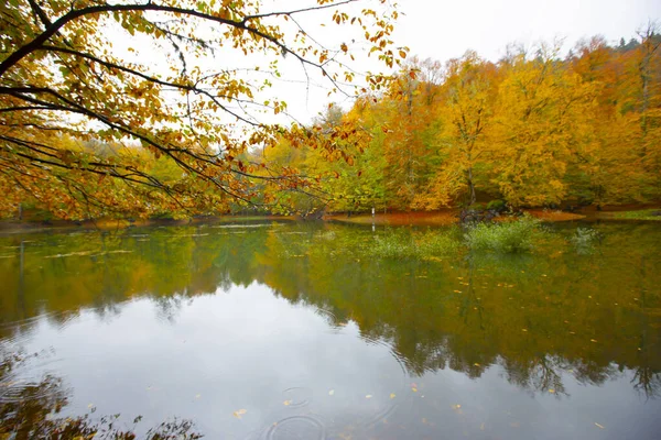 Národní Park Yedigller Nachází Oblasti Černého Moře Severu Bolu Jihu — Stock fotografie