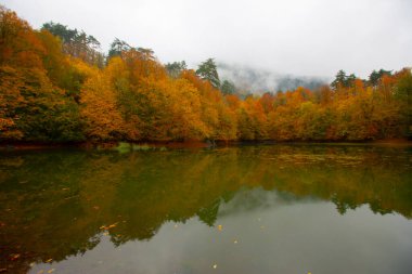 Yedigller Milli Parkı Bolu 'nun kuzeyinde, Zonguldak' ın güneyinde, Dzce 'nin güneyinde, Dzce' nin doğusunda yer almaktadır..