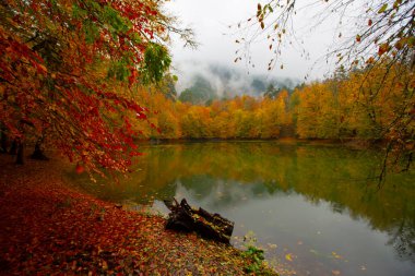 Yedigller Milli Parkı Bolu 'nun kuzeyinde, Zonguldak' ın güneyinde, Dzce 'nin güneyinde, Dzce' nin doğusunda yer almaktadır..