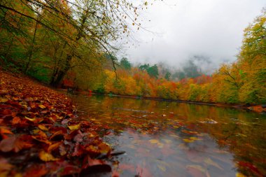 Yedigller Milli Parkı Bolu 'nun kuzeyinde, Zonguldak' ın güneyinde, Dzce 'nin güneyinde, Dzce' nin doğusunda yer almaktadır..