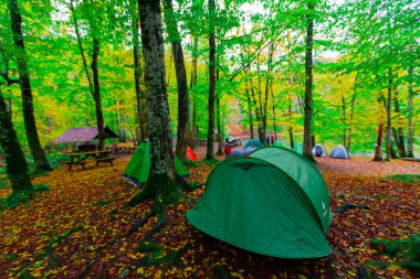 Yedigller Milli Parkı Bolu 'nun kuzeyinde, Zonguldak' ın güneyinde, Dzce 'nin güneyinde, Dzce' nin doğusunda yer almaktadır..