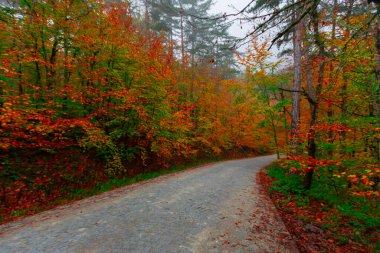 Yedigller Milli Parkı Bolu 'nun kuzeyinde, Zonguldak' ın güneyinde, Dzce 'nin güneyinde, Dzce' nin doğusunda yer almaktadır..