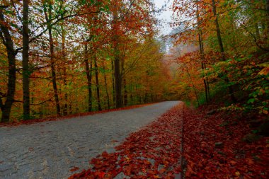 Yedigller Milli Parkı Bolu 'nun kuzeyinde, Zonguldak' ın güneyinde, Dzce 'nin güneyinde, Dzce' nin doğusunda yer almaktadır..