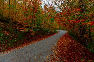 Yedigller Milli Parkı Bolu 'nun kuzeyinde, Zonguldak' ın güneyinde, Dzce 'nin güneyinde, Dzce' nin doğusunda yer almaktadır..