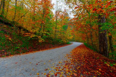 Yedigller Milli Parkı Bolu 'nun kuzeyinde, Zonguldak' ın güneyinde, Dzce 'nin güneyinde, Dzce' nin doğusunda yer almaktadır..