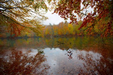 Yedigller Milli Parkı Bolu 'nun kuzeyinde, Zonguldak' ın güneyinde, Dzce 'nin güneyinde, Dzce' nin doğusunda yer almaktadır..