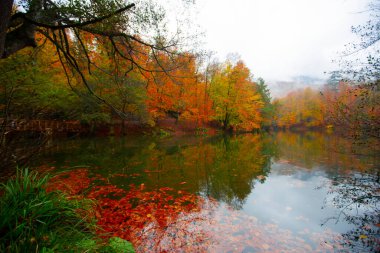 Yedigller Milli Parkı Bolu 'nun kuzeyinde, Zonguldak' ın güneyinde, Dzce 'nin güneyinde, Dzce' nin doğusunda yer almaktadır..