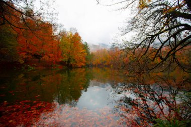 Yedigller Milli Parkı Bolu 'nun kuzeyinde, Zonguldak' ın güneyinde, Dzce 'nin güneyinde, Dzce' nin doğusunda yer almaktadır..