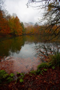 Yedigller Milli Parkı Bolu 'nun kuzeyinde, Zonguldak' ın güneyinde, Dzce 'nin güneyinde, Dzce' nin doğusunda yer almaktadır..
