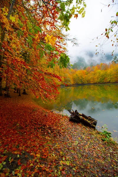 Parc National Yedigller Est Situé Dans Région Mer Noire Nord — Photo