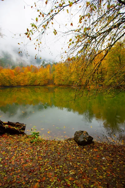 Yedigller National Park Ligger Svartahavsregionen Norra Bolu Södra Zonguldak Södra — Stockfoto