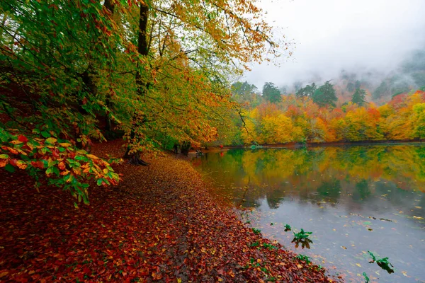 Yedigller National Park Está Localizado Região Mar Negro Norte Bolu — Fotografia de Stock