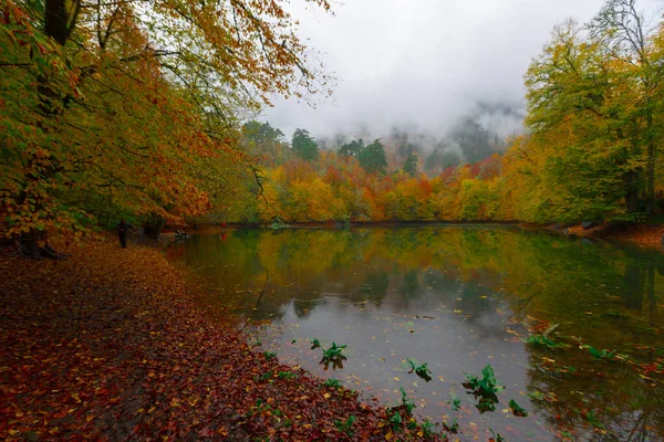 Der Yedigller Nationalpark Liegt Der Schwarzmeerregion Norden Von Bolu Süden — Stockfoto