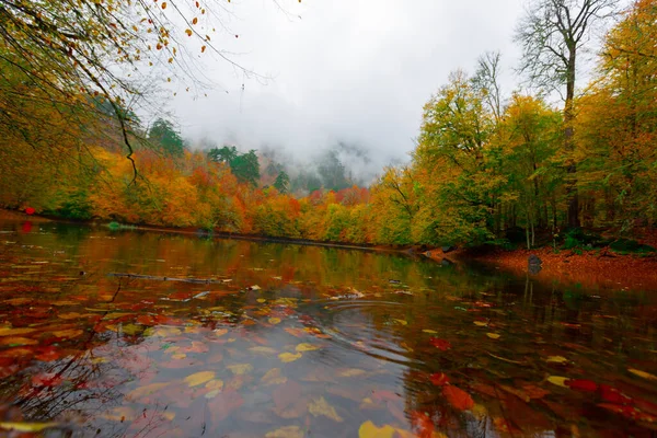 Yedigller National Park Está Localizado Região Mar Negro Norte Bolu — Fotografia de Stock