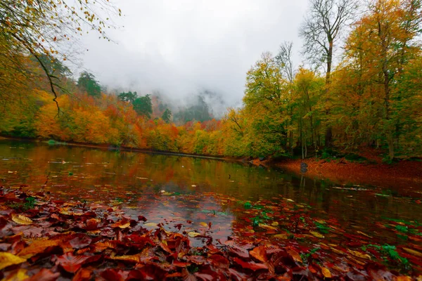 Yedigller National Park Está Localizado Região Mar Negro Norte Bolu — Fotografia de Stock