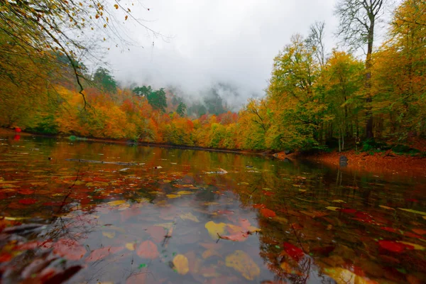 Yedigller National Park Está Localizado Região Mar Negro Norte Bolu — Fotografia de Stock