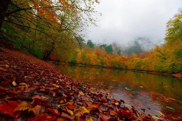 Yedigller Milli Parkı Bolu Nun Kuzeyinde Zonguldak Güneyinde Dzce Nin — Stok fotoğraf