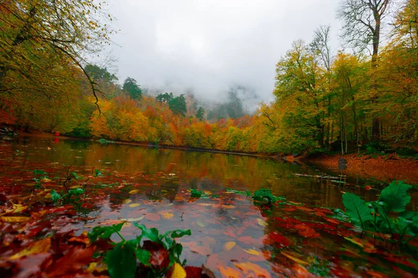 Parc National Yedigller Est Situé Dans Région Mer Noire Nord — Photo