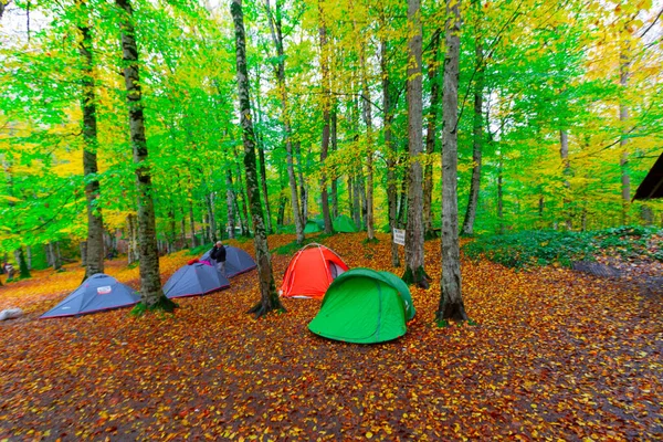 Yedigller National Park Ligger Svartahavsregionen Norra Bolu Södra Zonguldak Södra — Stockfoto