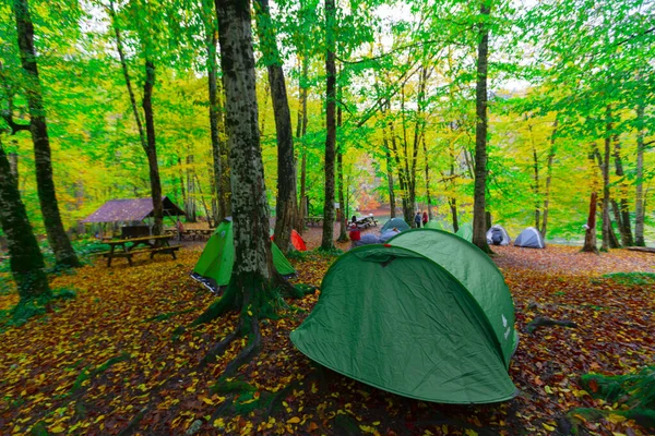 Parc National Yedigller Est Situé Dans Région Mer Noire Nord — Photo