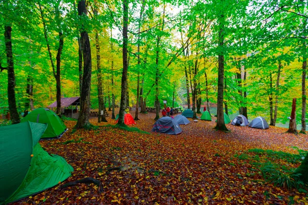 Yedigller National Park Located Black Sea Region North Bolu South — Stock Photo, Image