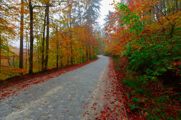 Parc National Yedigller Est Situé Dans Région Mer Noire Nord — Photo